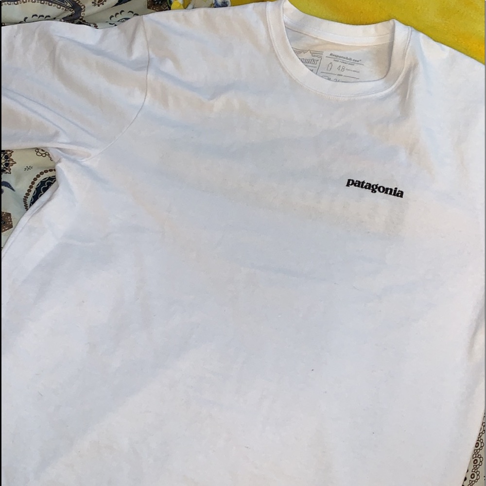 Men’s Patagonia T-shirt